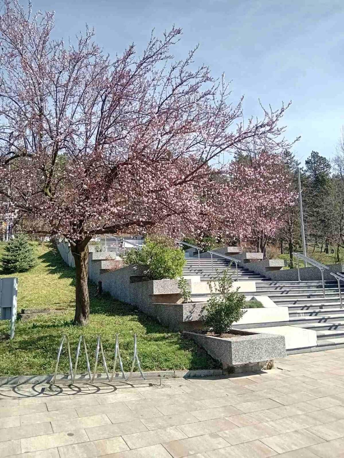 As Panonica Tuzla